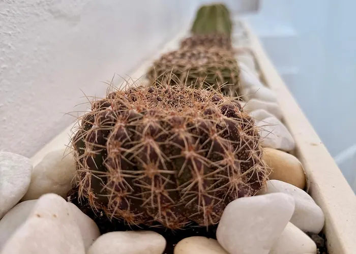 Feriehus Ocean View House