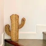 Dom wakacyjny Ocean View House