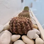 Dom wakacyjny Ocean View House